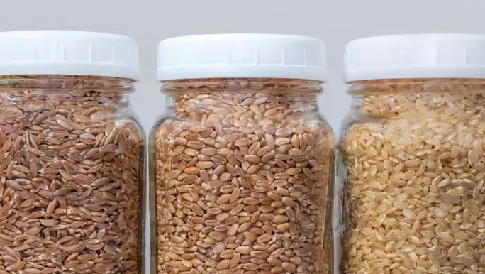 Food storage glass containers are filled with: whole grain farro, whole grain wheat and brown short grain rice.