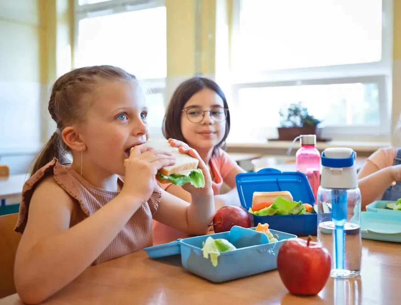 Healthy lunchbox ideas: simple tips for a balanced and tasty meal