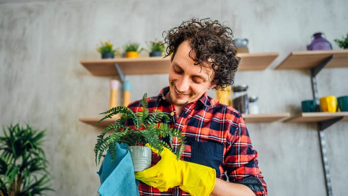 A young man wearing a red checked shirt and yellow rubber gloves is smiling as he wipes a pot plant