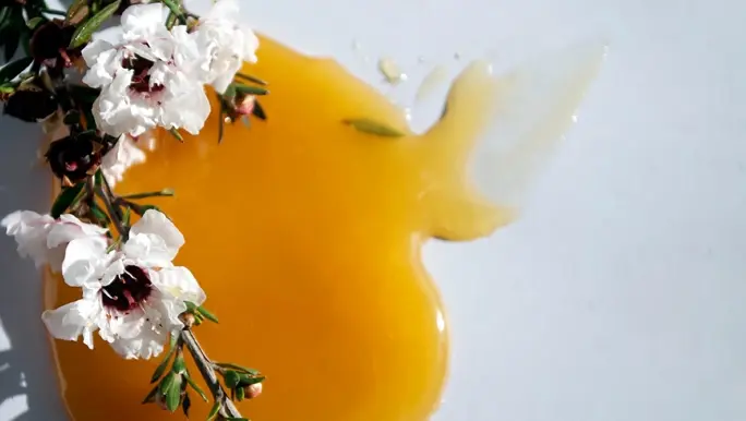 Manuka flowers and Manuka honey on a light grey background