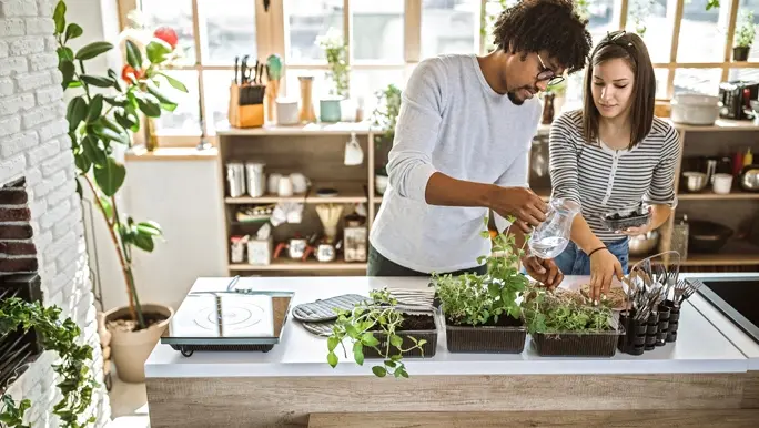 Couple taking care and watering kitchen herbs at their apartment