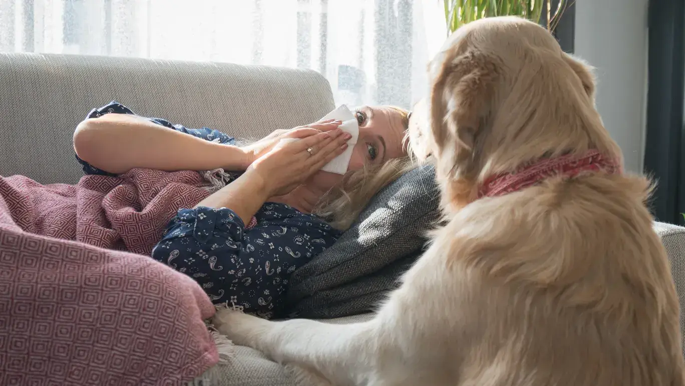 Allergy Season for Dogs