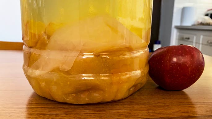 Close-up image of apple cider vinegar containing the mother