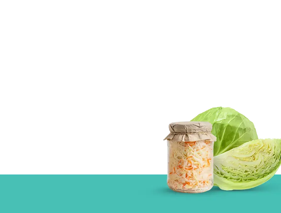 fermented foods