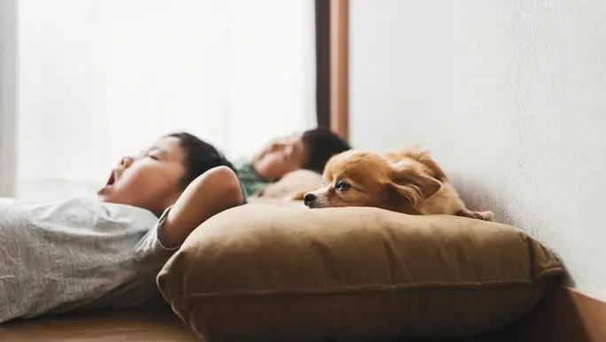 Two young boys napping on the floor with their dog