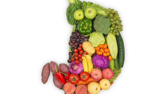 image of fruit and vegetables in the shape of a gut to promote gut health