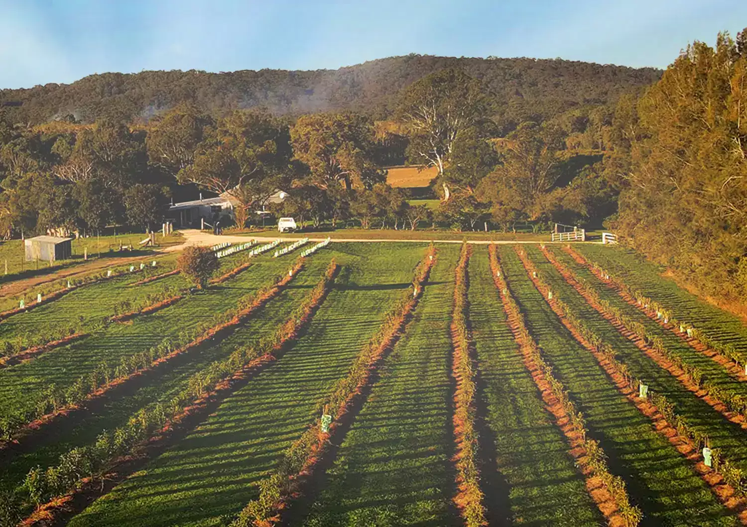 Freshwater Farm Australia