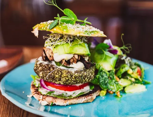 Thinking of going vegan or starting a plant-based diet?