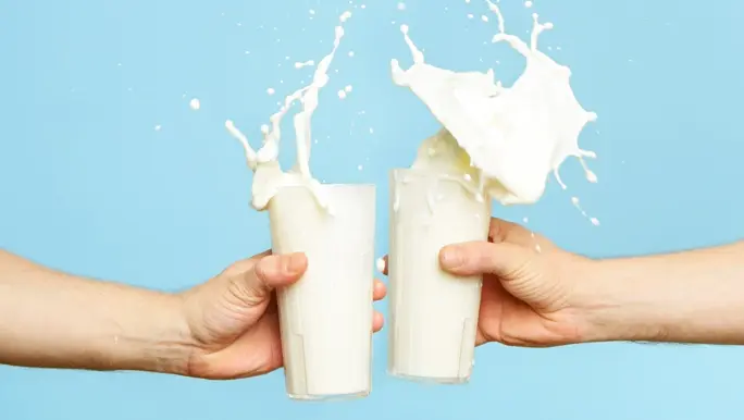 Two men clinking full glasses of milk that splashes out the top
