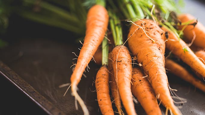 Close up image of freshly picked organic carrots.