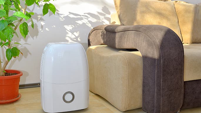 A dehumidifier sits in a lounge room next to a couch because its owner was concerned about mould toxicity symptoms.
