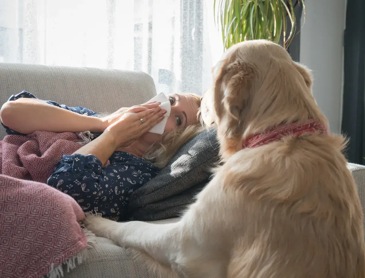 Allergy Season for Dogs