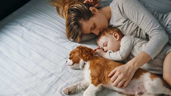A mother, her child and their dog are all resting even though it's nap time for children. 