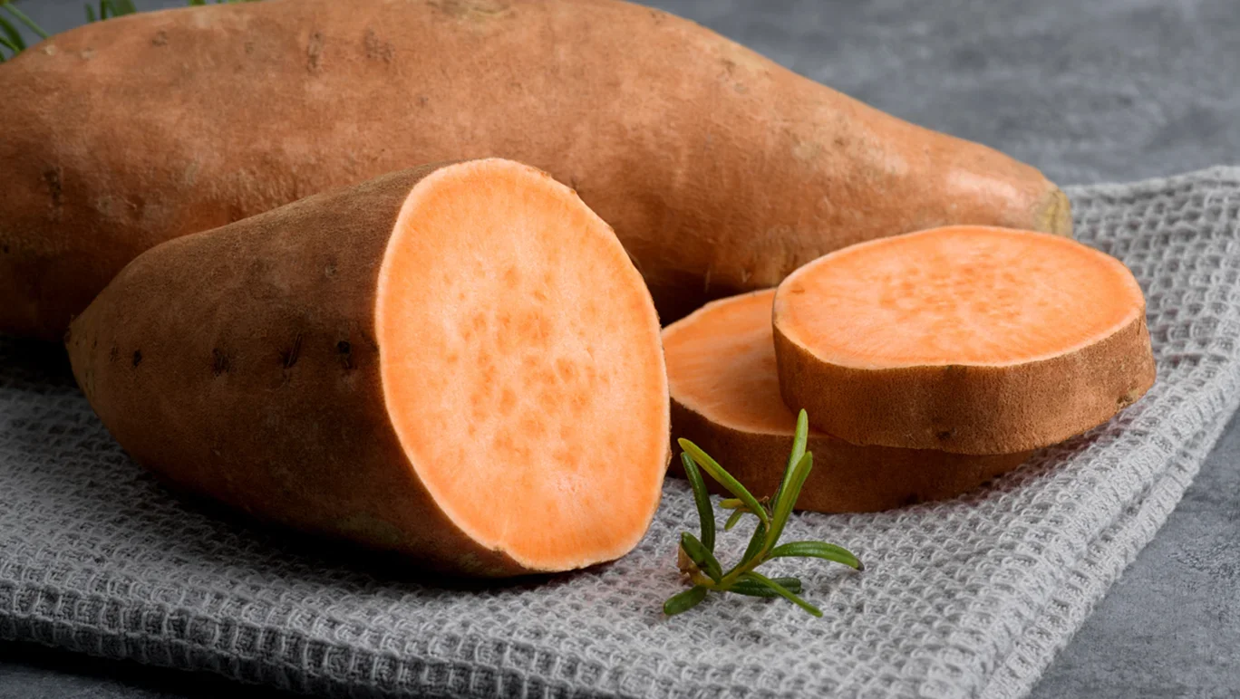 is sweet potato good for dogs everyday