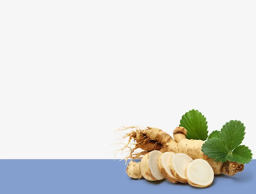 ginseng