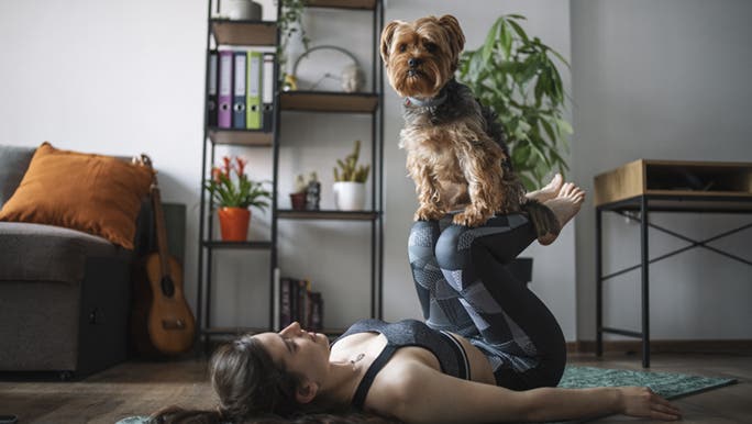 A woman lays on her back on a yoga mat with legs bent in the air. Her dog is sitting on her shins. It’s a cute morning yoga routine. 