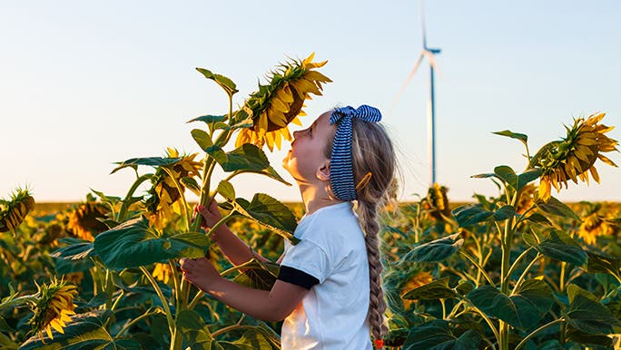 A girl is smelling a sunflower in a large field of sunflowers looking very happy which may be a benefit of nature play for children. 