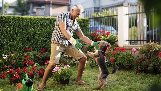 A man who was gardening smiles as his small dog jumps up and interrupts him after he had thought about self-love affirmations earlier that day.