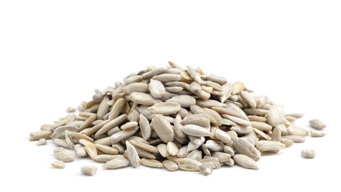 Sunflower seeds on a white background. 