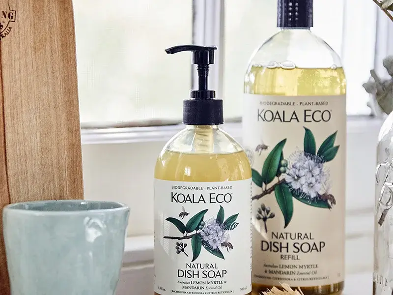 meet your new best friends