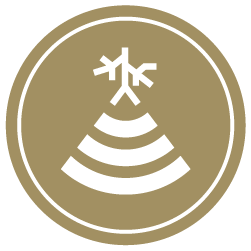 Gold circle with a Vascular Sonography icon in the middle.