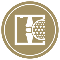 Gold circle with a Bone Densitometry icon in the middle.