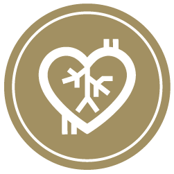 Gold circle with a Cardiovascular Interventional Radiography icon in the middle.