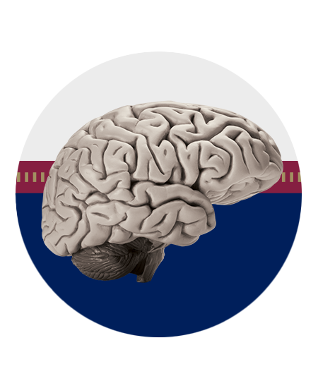 Historic photo: ARRT adopts biennial continuing education requirements in 1995.