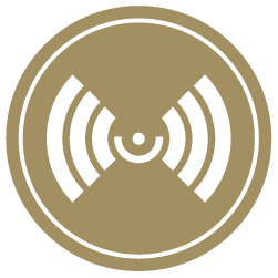 Gold circle with a Mammography icon in the middle.