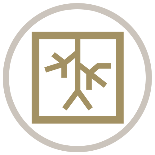 Gold circle icon showing a Vascular Interventional Radiography graphic