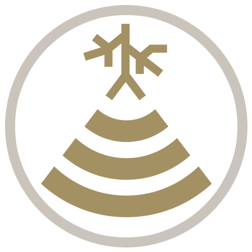 Gold circle icon showing a Vascular Sonography graphic