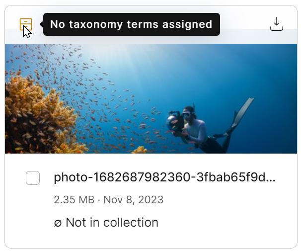 Example of an untagged asset