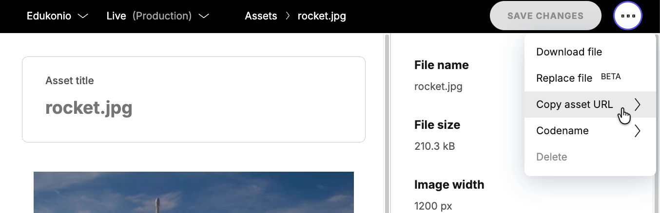 Getting the public URL of an asset