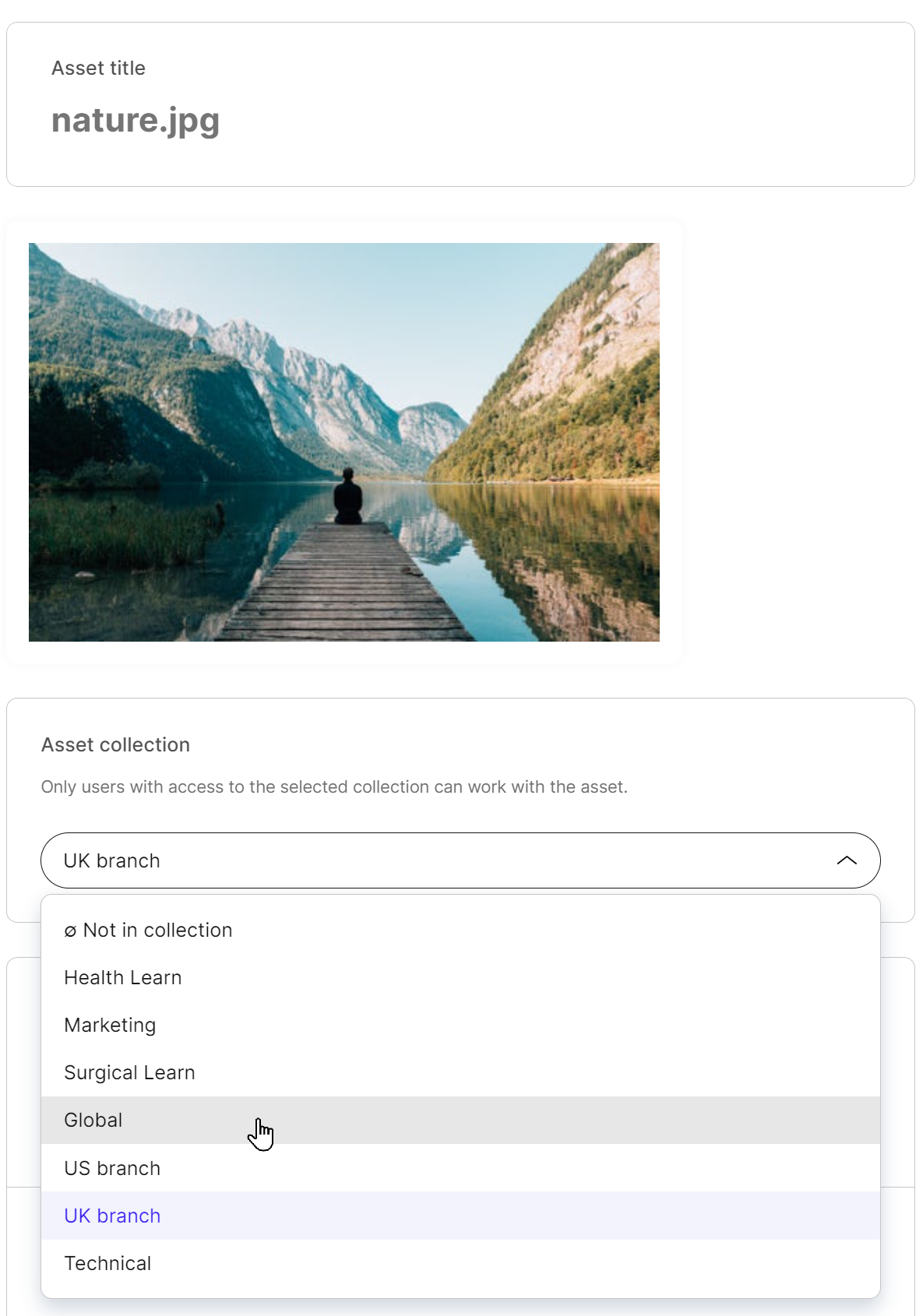 Changing asset's collection from asset details