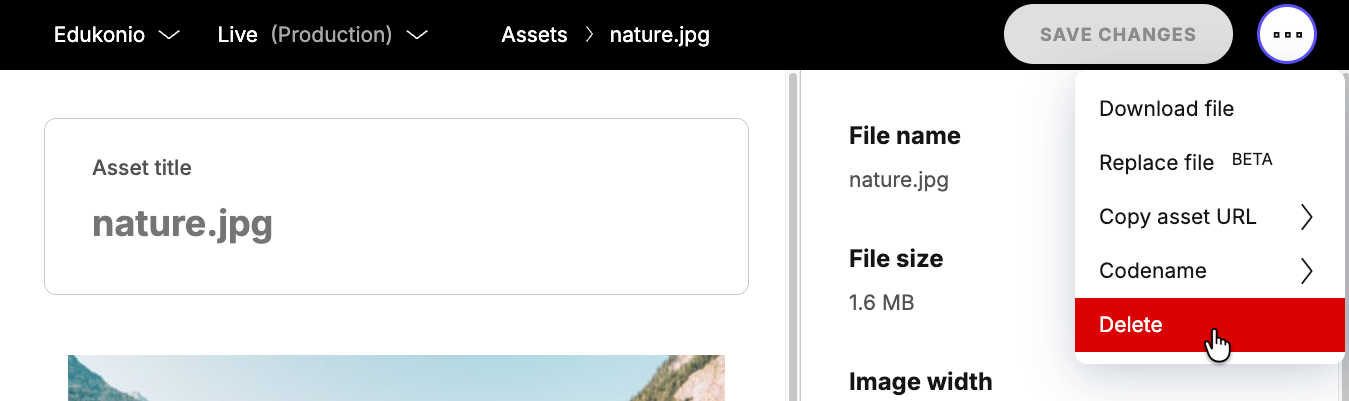 Deleting an asset from the asset library