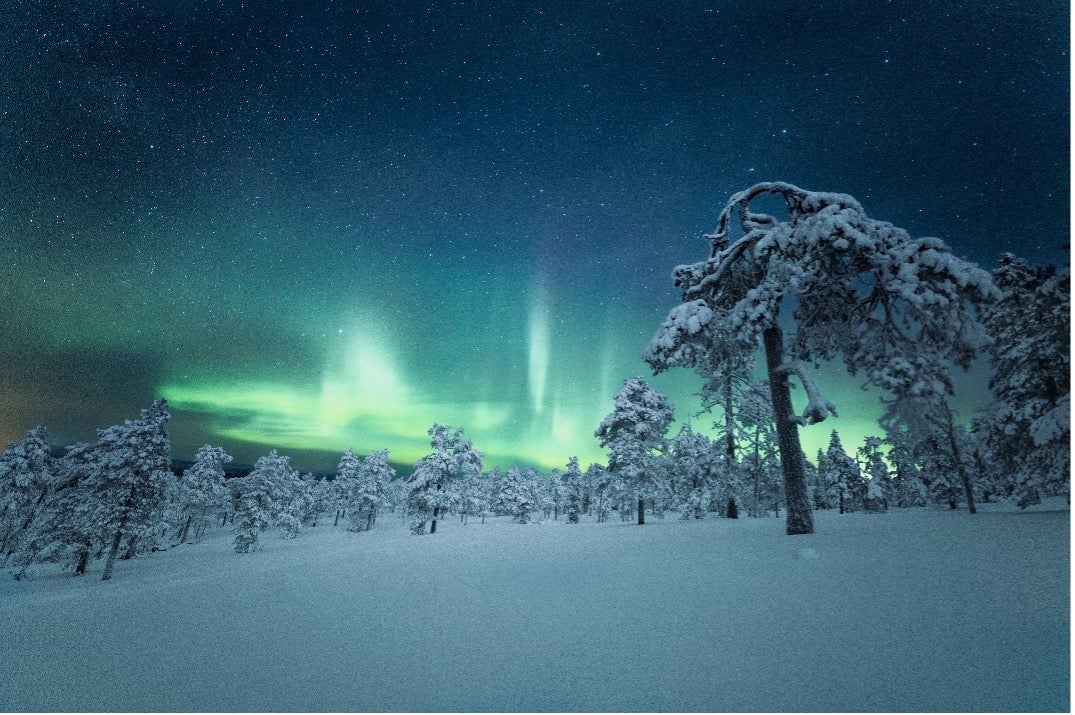 A snowy landscape is dotted with trees as the Northern Lights shine in Lapland, Finland.