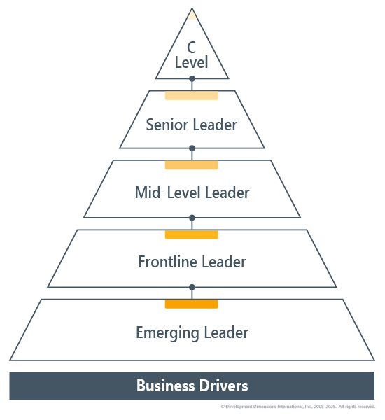 A leadership pyramid showing leader levels from Emerging Leader, Frontline Leader, Mid-Level Leader, and Senior Leader to C-Level, all built on a foundation of business drivers.