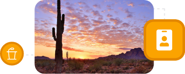 Tall cactus in desert landscape at sunset with mountains in the background and a colorful sky, with icons overlaid on the right and left - one a podium, and the other a badge.