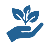 Tenir la main d’une plante qui grandit pour montrer que cette meilleure pratique pour construire un solide pipeline de leadership est que les leaders à fort potentiel doivent être pensés différemment