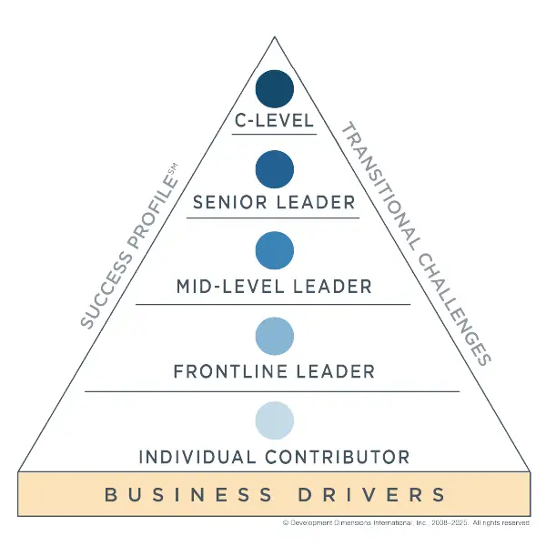 Pyramid with business drivers at base and levels to indicate how to build your succession management strategy.?fm=webp&q=65