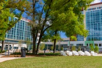 Towne Square - Grass field