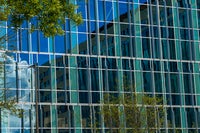 Bear Health Center - Glass wall feature
