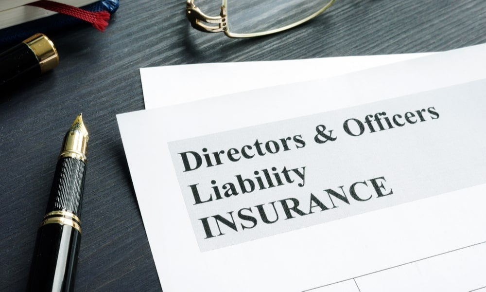 Directors and officers liability insurance-min.jpg