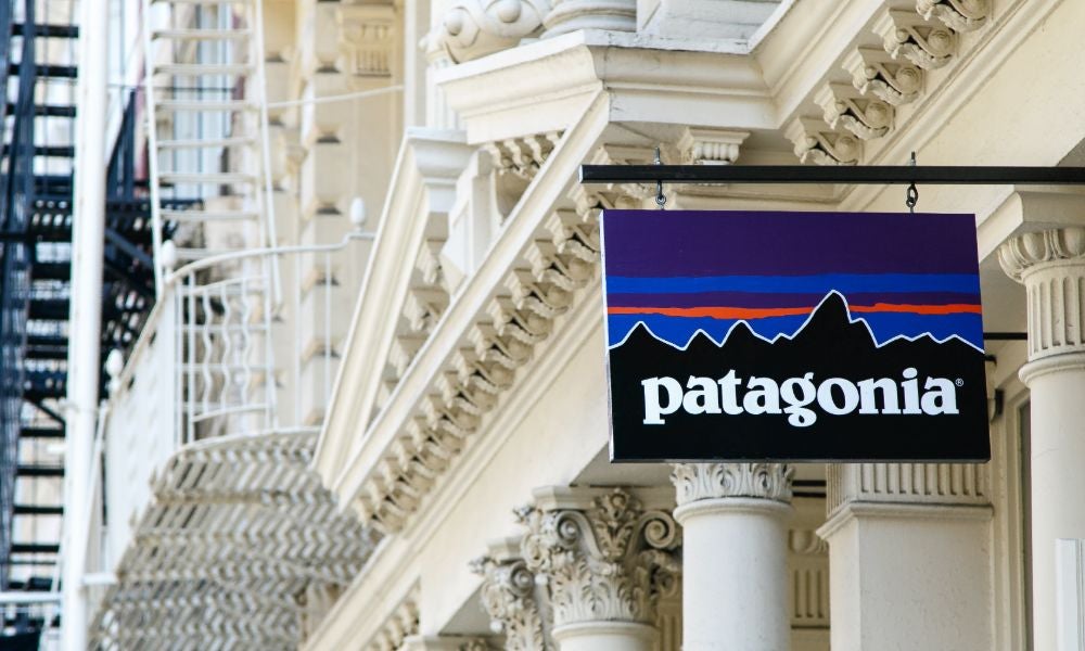 Patagonia is known for aligning its business practices with employee values.jpeg