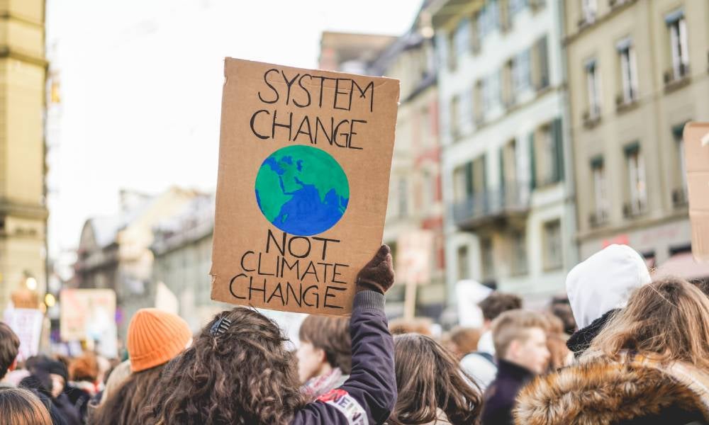 Carbon credits are needed to slowdown the effects of climate change.jpeg