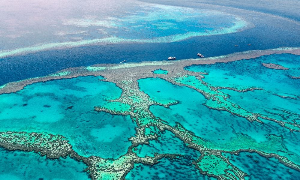 Experience Co is one of the largest operators on the Great Barrier Reef Marine Park.jpeg