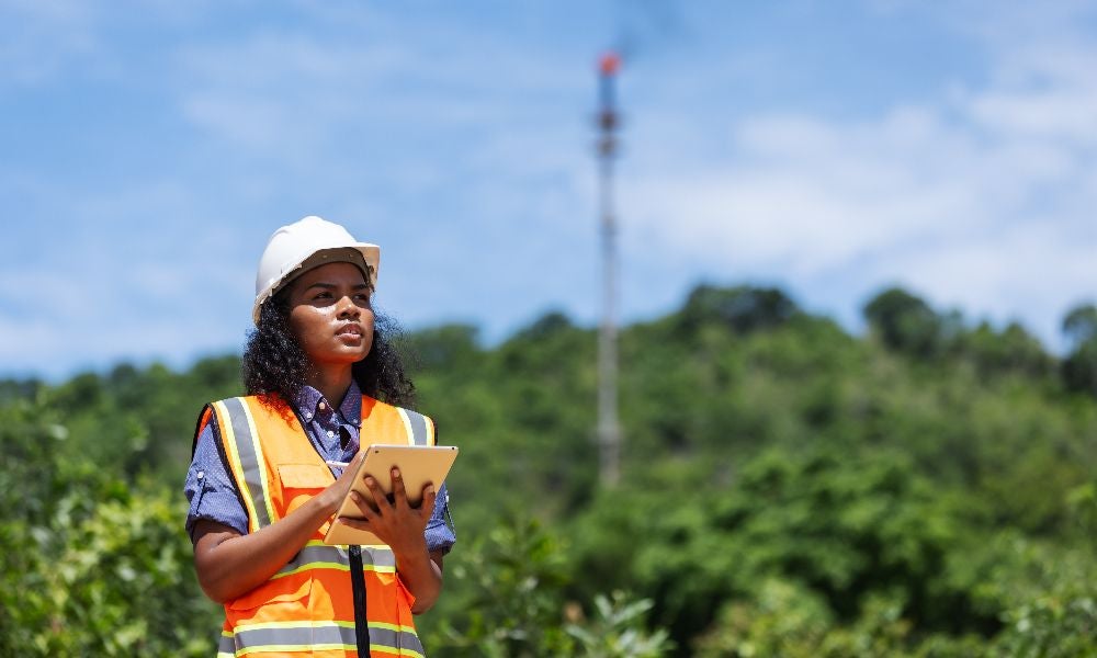 The research found that partial-flexibility regulatory tools can outperform other carbon emission policies.jpeg