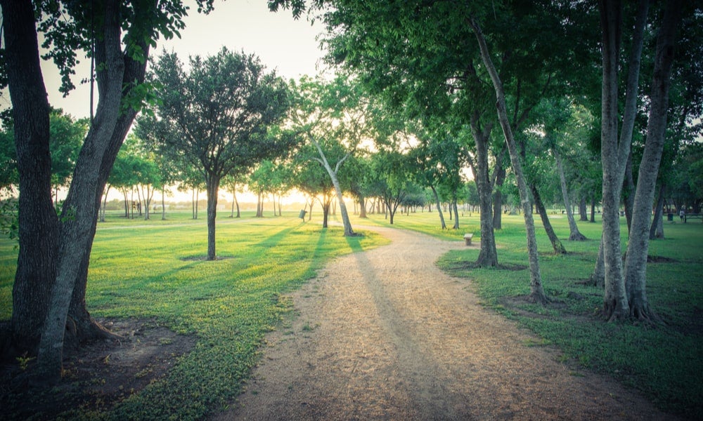 Time spent in natural green spaces is more restorative than in urban settings-min.jpg