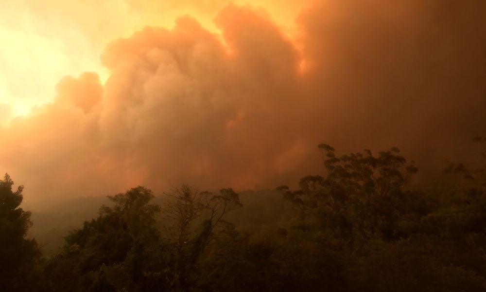 Tips for bushfire policy holders.jpg