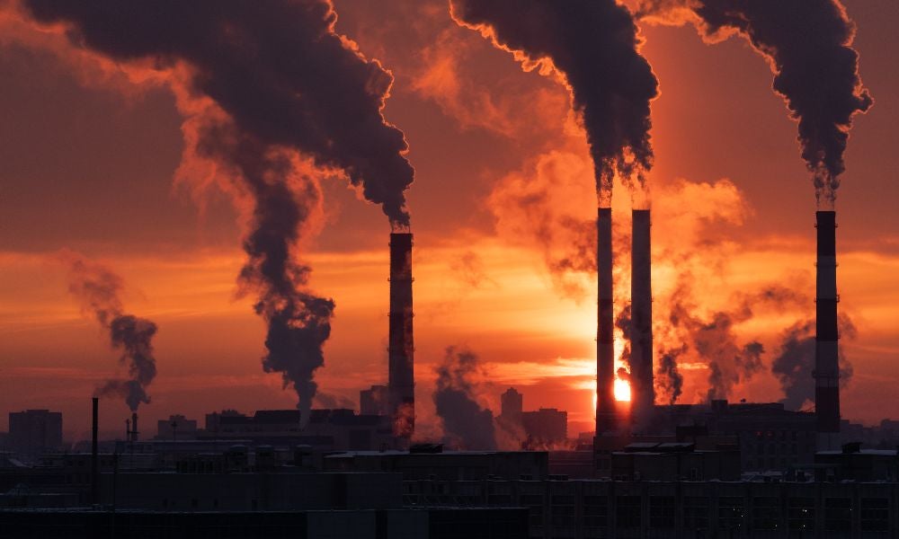 Companies in carbon-intensive industries showed higher disclosure rates.jpeg